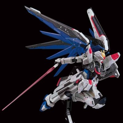 アニメ+ゲーム BANDAI - ZGMF-X10A Freedom Gundam Ver.GCP SET RG 1/144 ZGMF-X10A Gundam Base Limited ZGMF-X10A Freedom Gundam