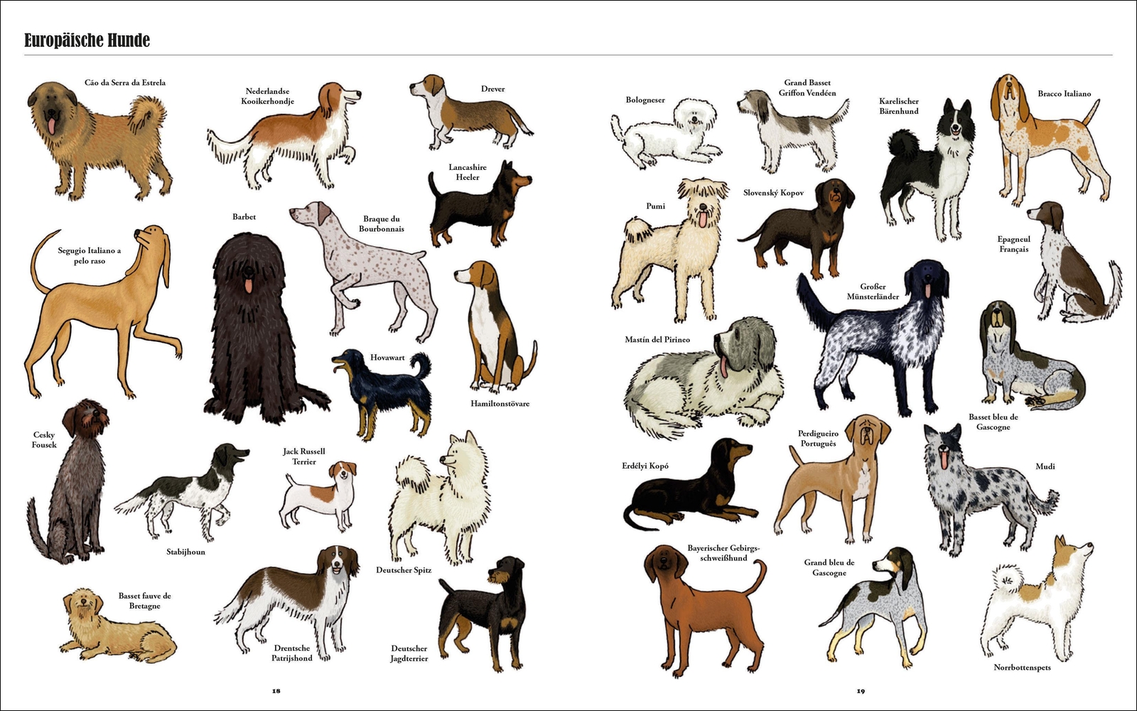 Thumbnail - Große Hunde, Kleine Hunde | Alle Hunde Dieser Welt. Über 250