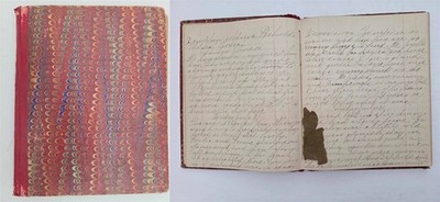 1889 antique handwritten DIARY s. duxbury ma travel excursion pressed leaves