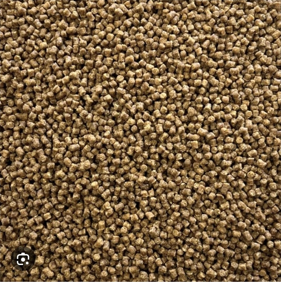 Flavoured Skretting 8mm bandable fishing Pellets 100g-1kg  In Over 50 flavours - Image 2 of 2