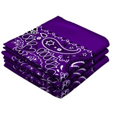 Classic Paisley Bandanas 3 Pack Gift Set 100 Cotton 22x22 Inches Accessory