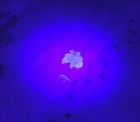 Bild 6 von 7