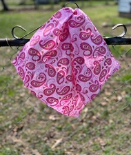 Princess Paws 22x22 Bandanna