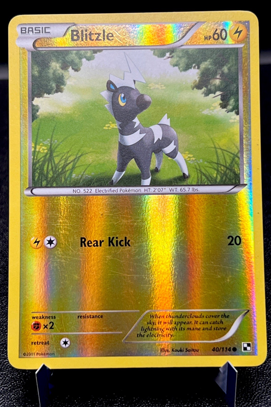 Blitzle 40/114 LP Reverse Holo Black and White Pokémon Card!