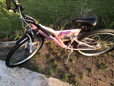 dunlop sport double disc bike