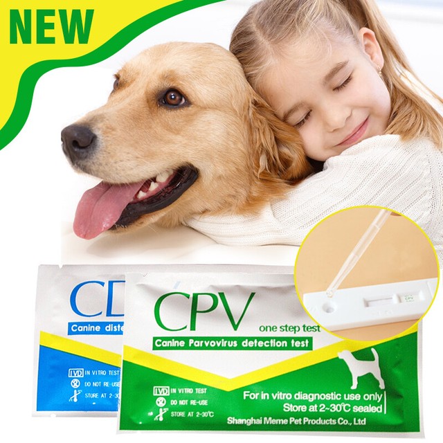 1PC Canine Dog Distemper Virus CDV/CPV Home Nasal Swab Health Test