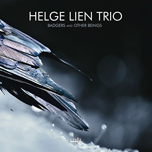 Helge Lien Trio - Badgers And Other Beings [CD]