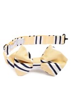 Nordstrom 165068 Boy's 'Vice President' Yellow Stripe Silk Bow Tie One Size