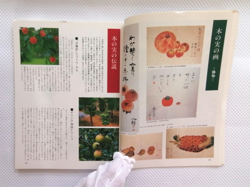 Picture 5 of 10