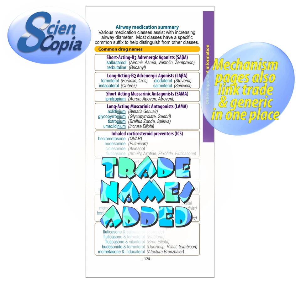 Essential Aussie Drugs - 3rd Edition (A little book of common Aussie drug facts) - image 4 of 4