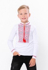 Embroidered shirt for a boy with a long sleeve, Vyshyvanka, cotton 100 . Ukraine