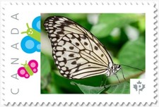 BUTTERFLY = BLACK & WHITE ** Picture Postage Canada 2019 p19-04-s24 MNH