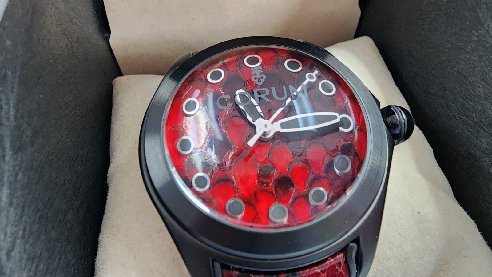Corum Red Python Bubble Watch - image 2