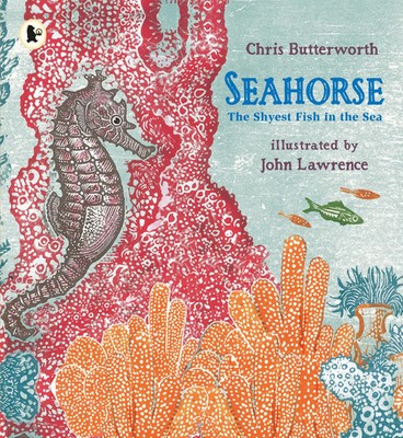 Chris Butterworth | Seahorse: The Shyest Fish in the Sea | Taschenbuch (2015)