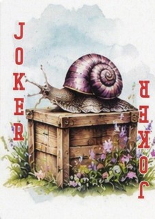 RARE MODERN "Snail on a Box" JOKER Play Card # 19