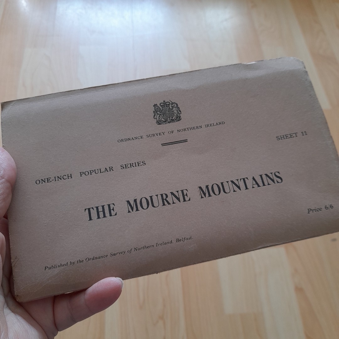 Surveyor Market Item for Sale