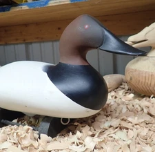 Canvasback Drake by Pat Vincenti of Churchville MD