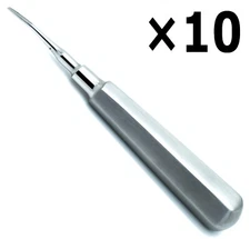 10 Pcs Elevator Curved Tip 2mm Root Dental Premium Surgical Extract Instruments