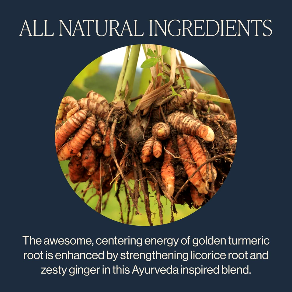 Rishi Tea Organic Turmeric Ginger Loose Leaf Tea, 2.82 OZ eBay