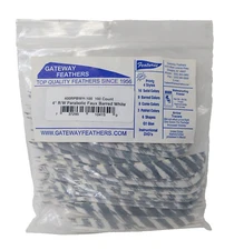 100 Pack Gateway Feathers 4" Right Wing: Parabolic Faux Barred White 400RPBWH