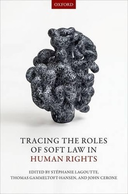 Tracing the Roles of Soft Law in Human Rights by Stphanie La... - 9780198791409