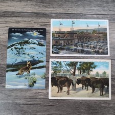 Vintage Postcard 1939 The Call of the Wild, Chicago, Tijuana Mexico Unused Rare