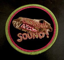 Neko Case New Album Neon Grey Midnight Green Promo PATCH Carnassial Sound