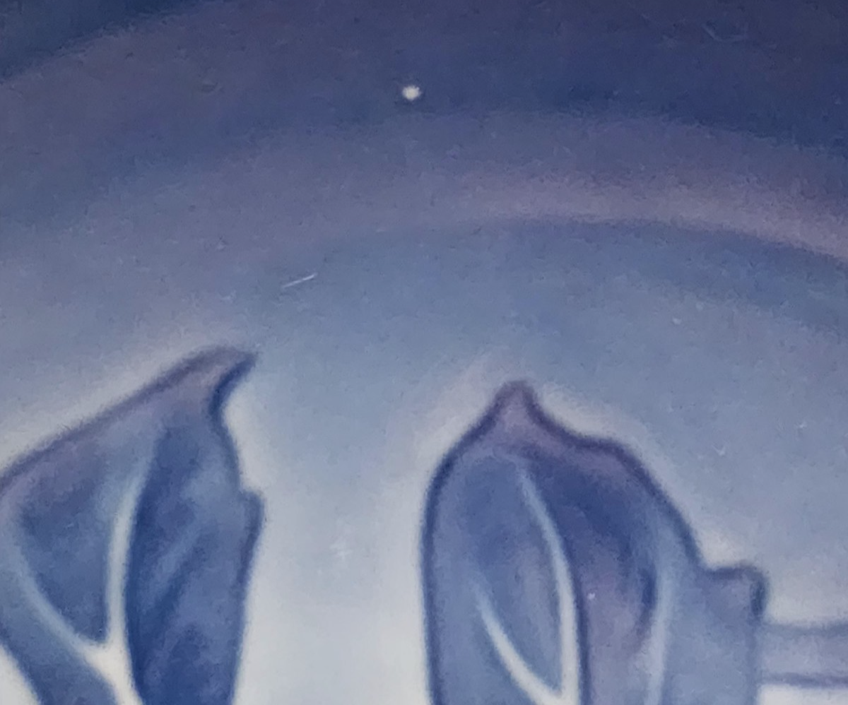 Picture 12 of 13