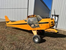 kitfox