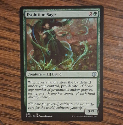Wizards of the Coast Evolution Sage Creature Zendikar Rising Uncommon Green MTG