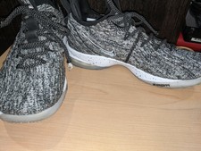 lebron 15 silver