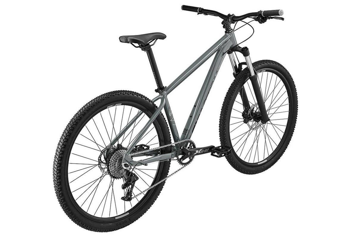 Eastern Alpaka 29 MTB Hardtail Bike - Gray | eBay