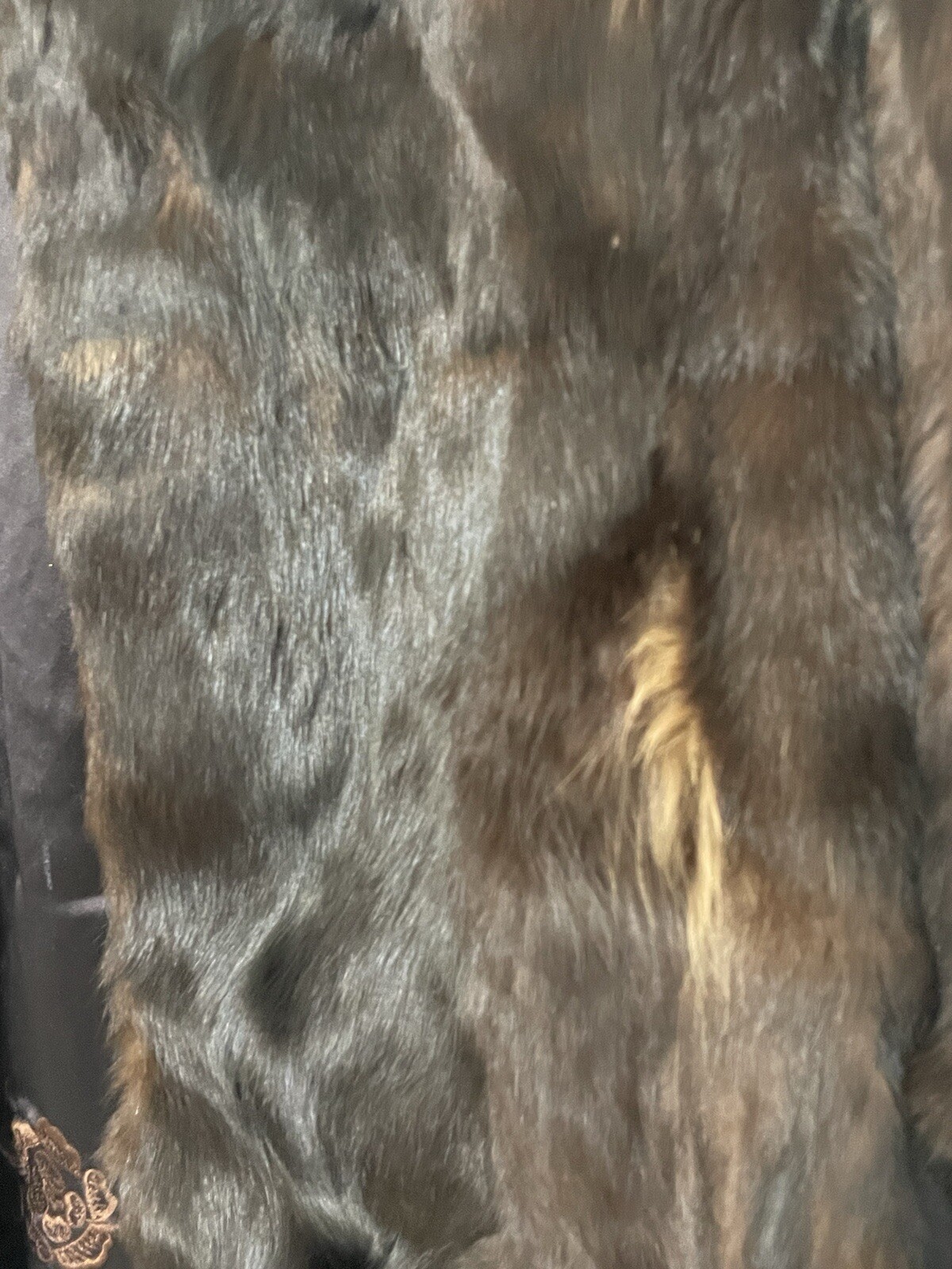 Picture 3 of 15