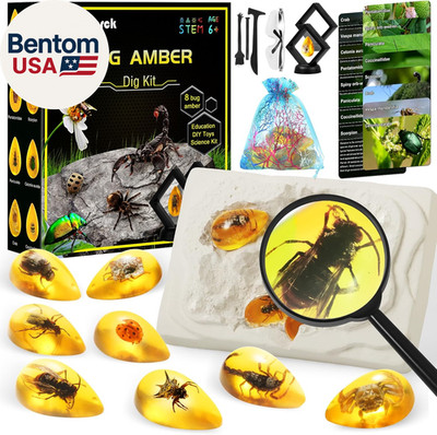 Bigger Amber Dig Kit - 8 Different Artificial Insect Resin,Excavate Unique Insec