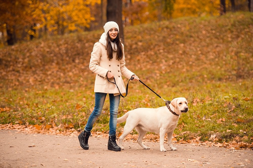 Toe Warmers - Long Lasting, Odorless, Air Activated - Up to 8 Hours of Heat -...