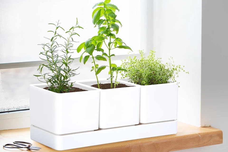 D'vine Dev Juego de 3 macetas modernas de plástico blanco mate con drenaje Foto 4 de 4