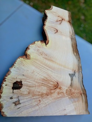 XL HARDWOOD CURLY Birdseye Maple Burlwood Blank, FIGURED maple Burl, EPOXY WOOD 