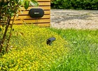 Bild 5 von 10