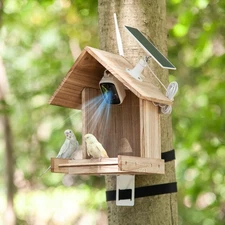 Smart Bird Feeder w/ Solar Camera & AI Bird Recognition Tech - Burly