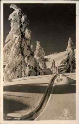 NORWEGEN Norge Norway ~1930/40 Winter Landschaft Vereiste Schnee Loipe Snow