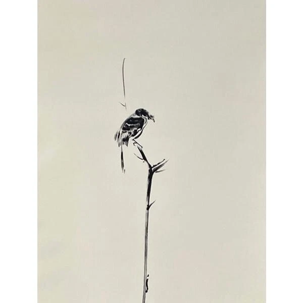 Miyamoto Musashi Kakejiku Scroll Replica "Koboku ni Mozu" w/ Box 73"x21.5" New - Image 3 of 4