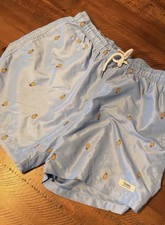 Men's Light Blue Pineapple Print Swim Shorts Elastic Waist Drawstring Trunks