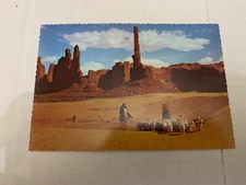 c.1970's Flock On The Dunes Monument Valley Arizona Indian Postcard