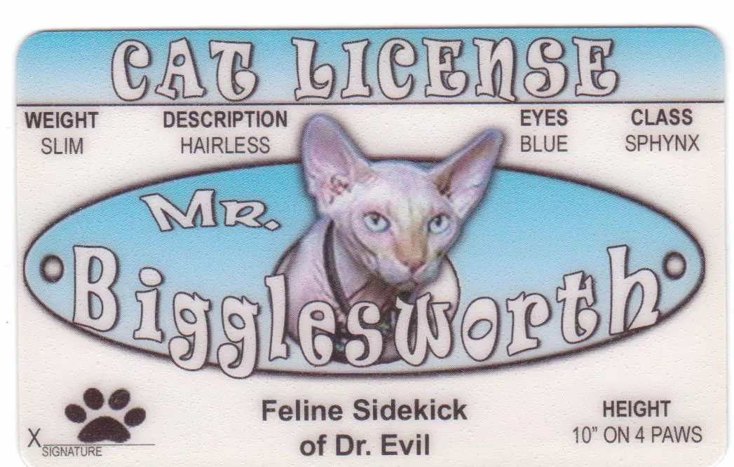 Mr Bigglesworth Feline Sidekick Cat of Austin Powers Mike Myers