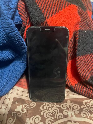  iPhone 12 Pro Max (with TIKTOK) - 256 GB - Blue (Unlocked) 