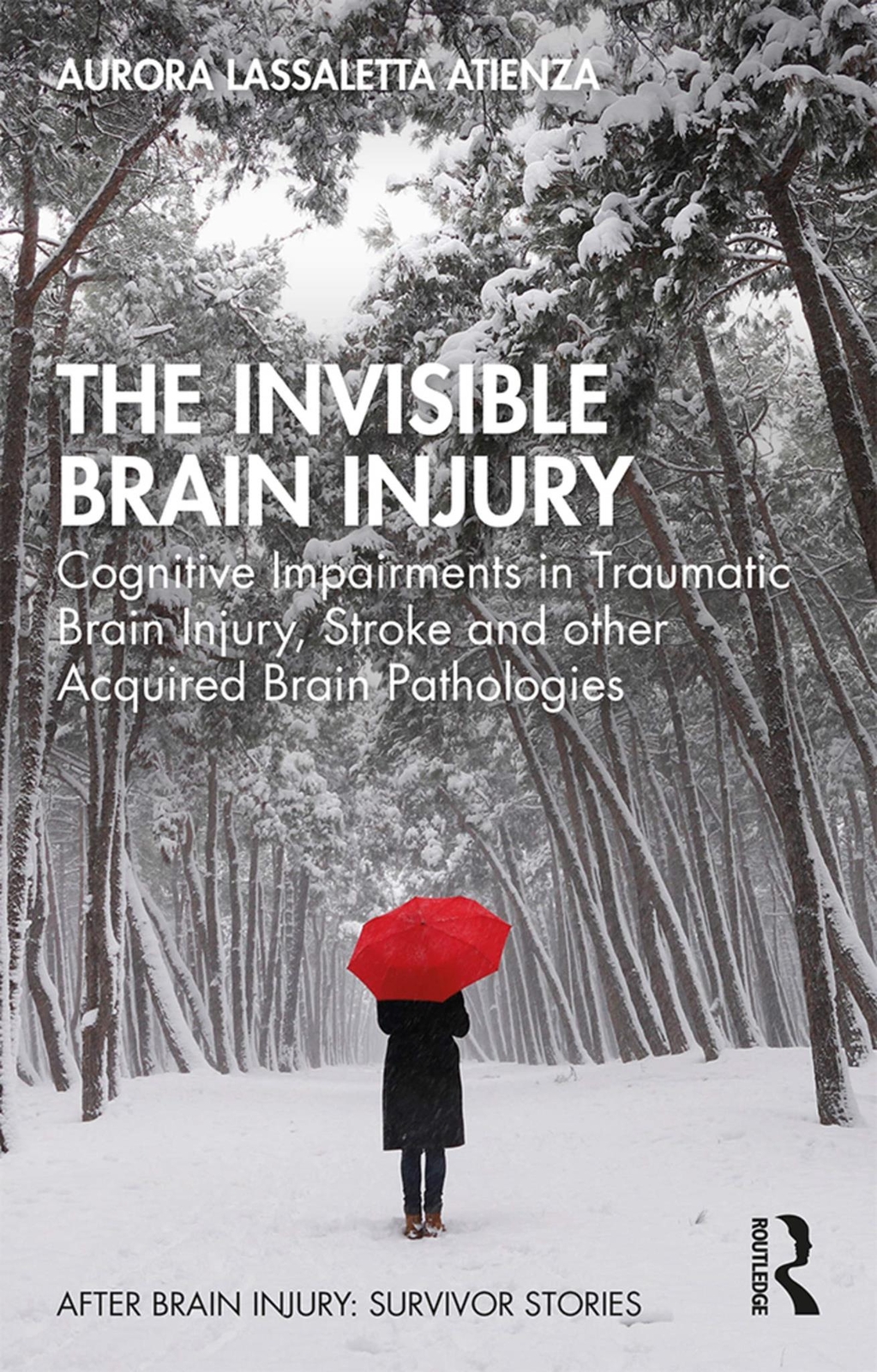 The Invisible Brain Injury