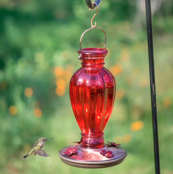 Perky-Pet Red Daisy Vase Decorative Glass Hummingbird Feeder - 18 oz. 8133-2