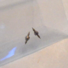 2 HAMILTON 18 SIZE BALANCE STAFFS 126 DR LC PIVOT-12, NOS --- BB-946