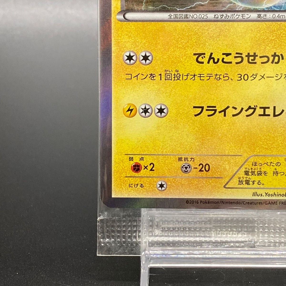 Pokemon Card Pikachu Libre 247/XY-P Holo Japanese Special