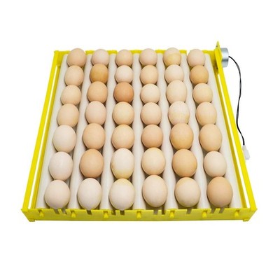 HBtree Automatic Multifunction Incubator Egg Tray Turning Hatcher for Chicken...